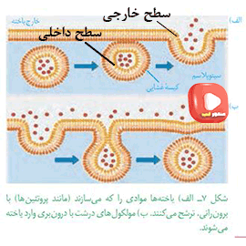 نکته کنکوری زیست