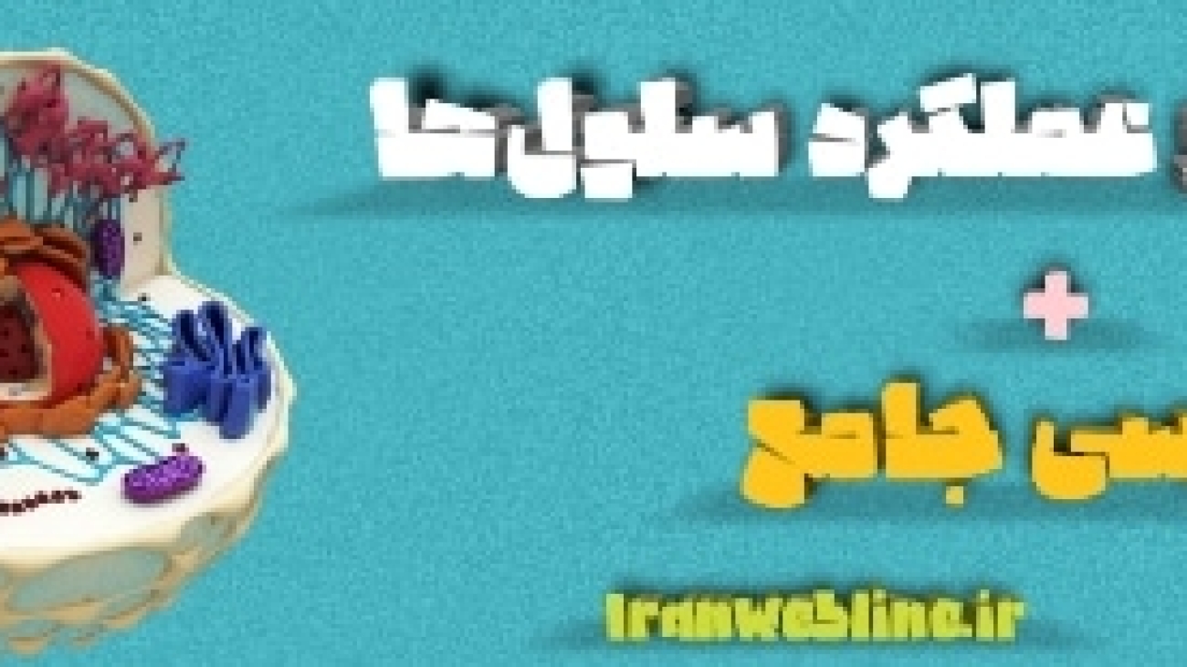 ساختار و عملکرد سلول‌ها