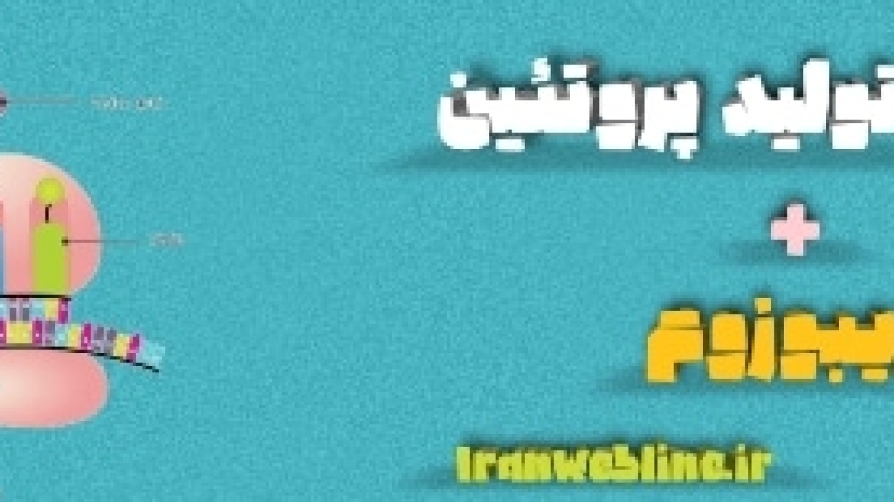 ریبوزوم