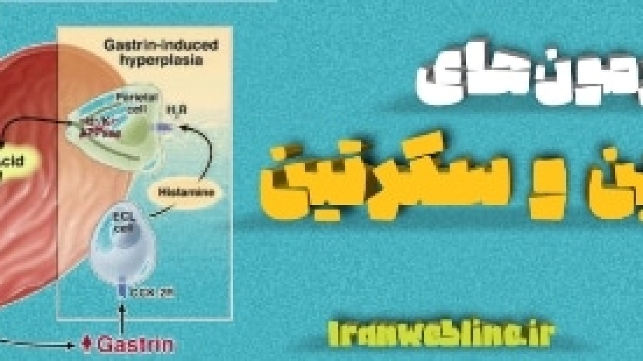 گاسترین و سکرتین