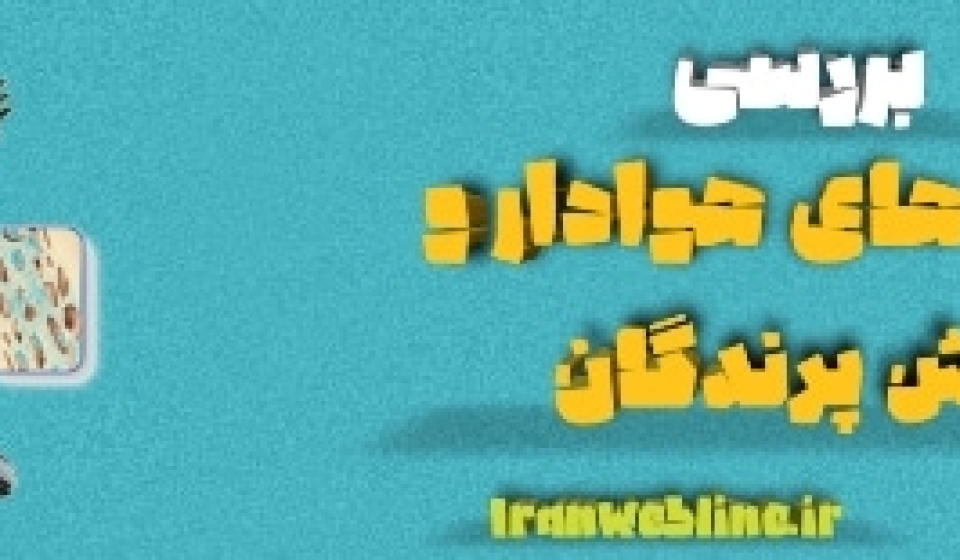 کیسه‌های هوادار