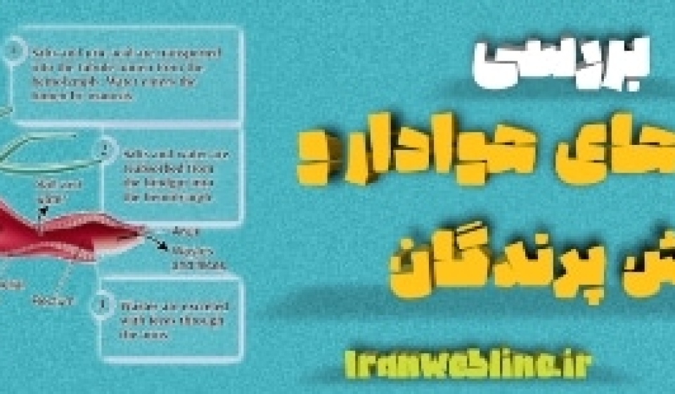 لوله‌های مالپیگی