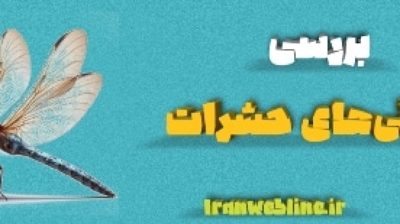 ویژگی‌های حشرات