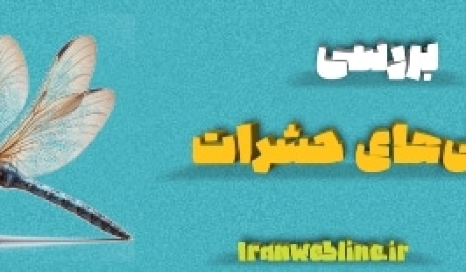 ویژگی‌های حشرات