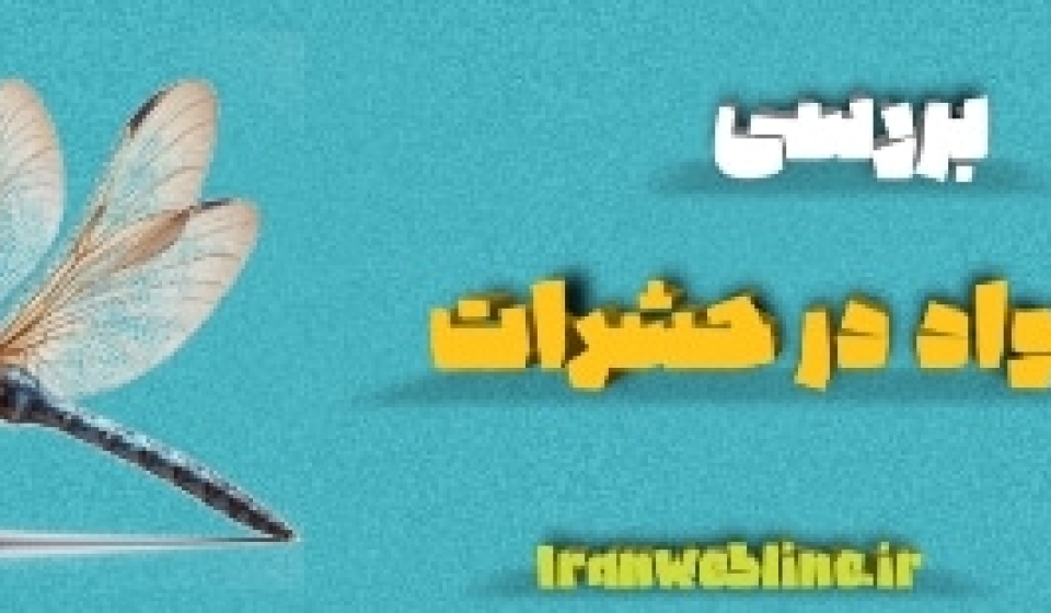گردش مواد در حشرات
