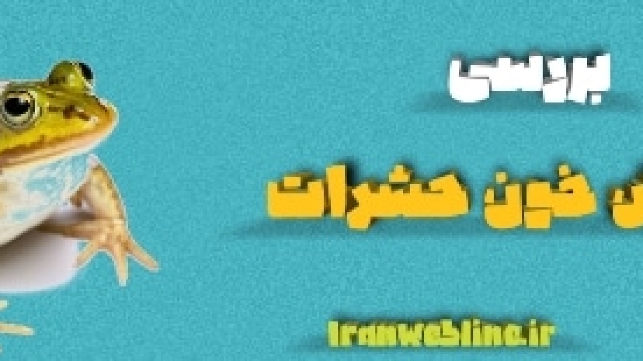 گردش خون حشرات