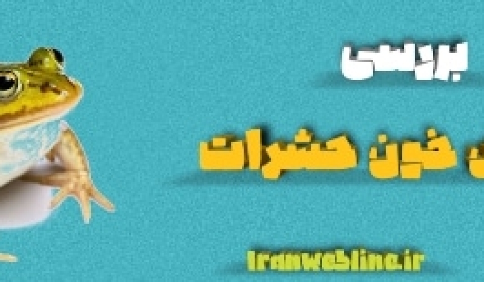 گردش خون حشرات
