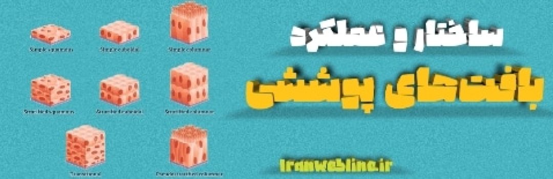 بافت‌های پوششی