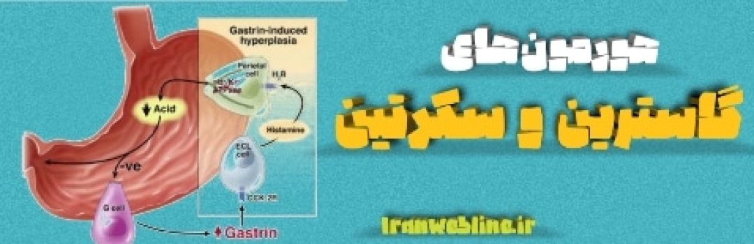 گاسترین و سکرتین