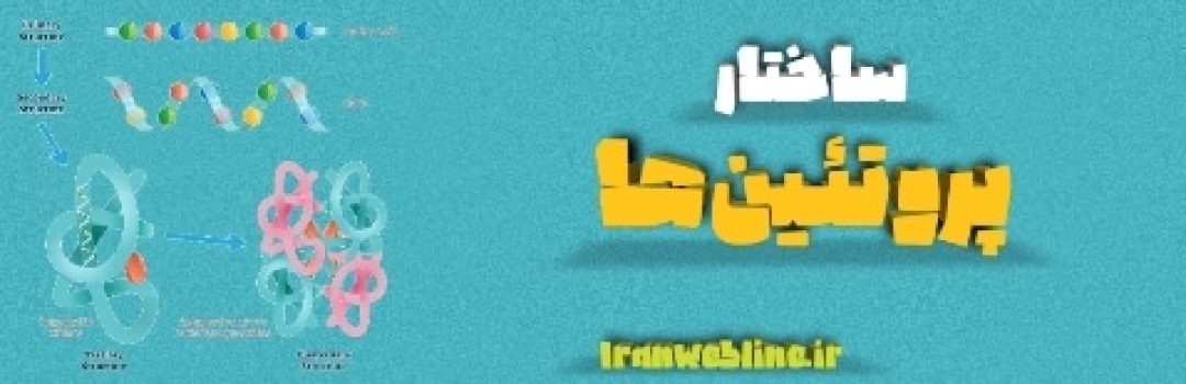ساختار پروتئین‌