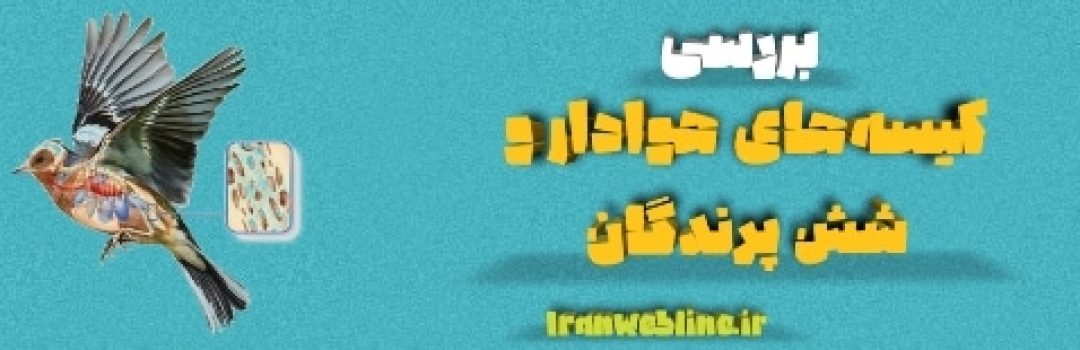 کیسه‌های هوادار