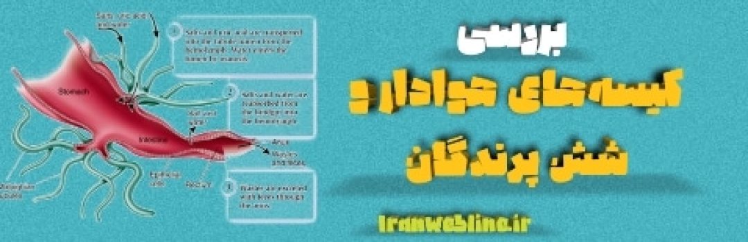 لوله‌های مالپیگی