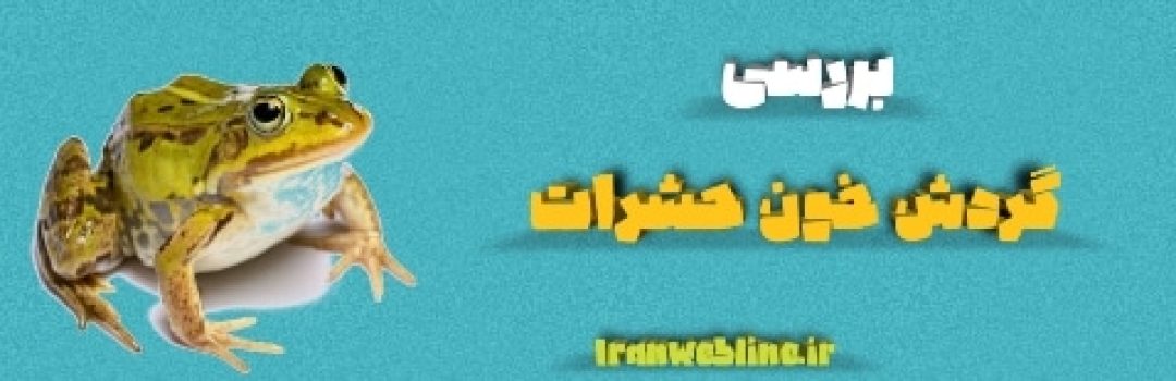 گردش خون حشرات