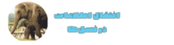 انتقال اطلاعات در نسل‌ها
