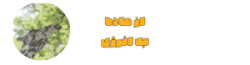 از ماده به انرژی